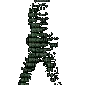 drifterix
